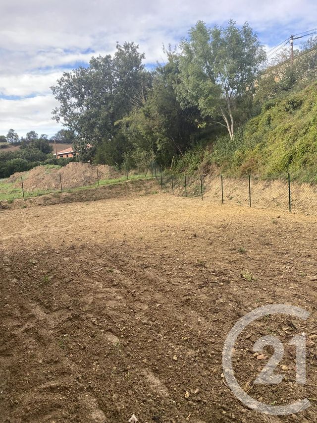 Maison à louer - 4 pièces - 91 m2 - Avignonet Lauragais - 31 - MIDI-PYRENEES