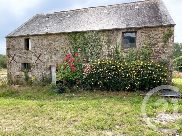 Maison &agrave; vendre - 7 pi&egrave;ces - 232,29 m2 - Sortosville En Beaumont - 50 - BASSE-NORMANDIE