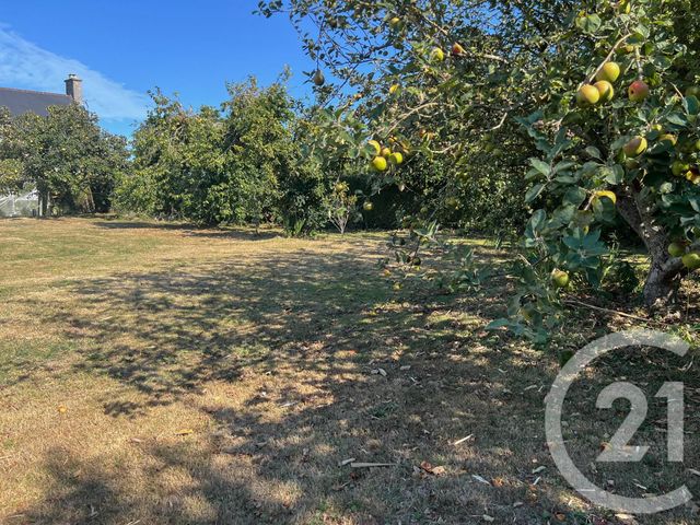 Maison à vendre - 5 pièces - 102,38 m2 - St Georges De La Riviere - 50 - BASSE-NORMANDIE