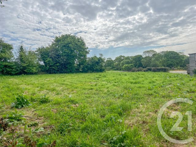 Maison &agrave; vendre - 4 pi&egrave;ces - 74,28 m2 - Sortosville En Beaumont - 50 - BASSE-NORMANDIE