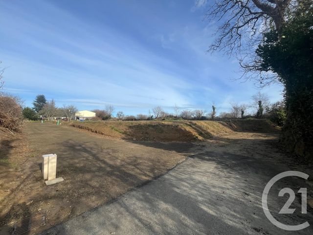 terrain - LA HAYE D ECTOT - 50