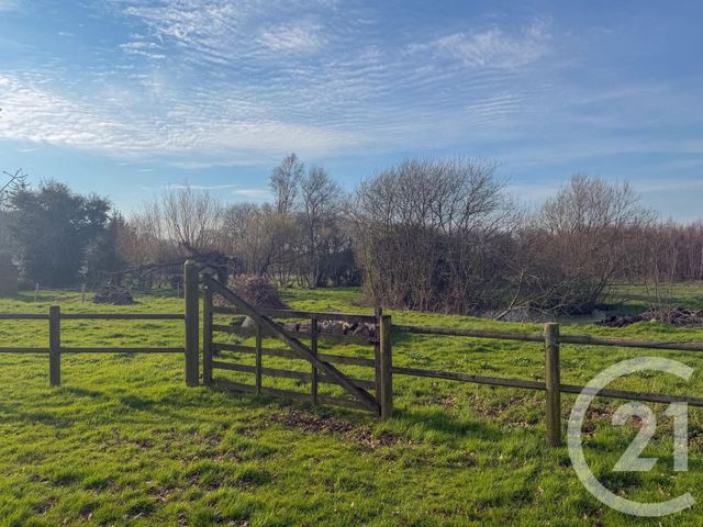 Maison &agrave; vendre - 6 pi&egrave;ces - 180 m2 - Doville - 50 - BASSE-NORMANDIE