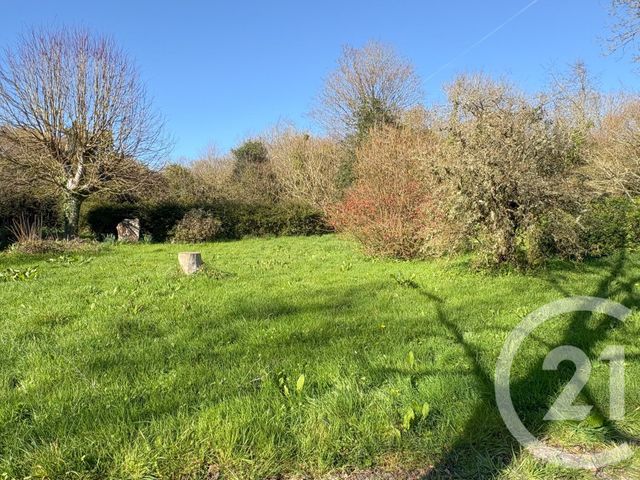 Maison &agrave; vendre - 5 pi&egrave;ces - 163,99 m2 - Le Mesnil - 50 - BASSE-NORMANDIE