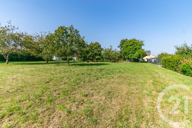 terrain - QUELAINES ST GAULT - 53