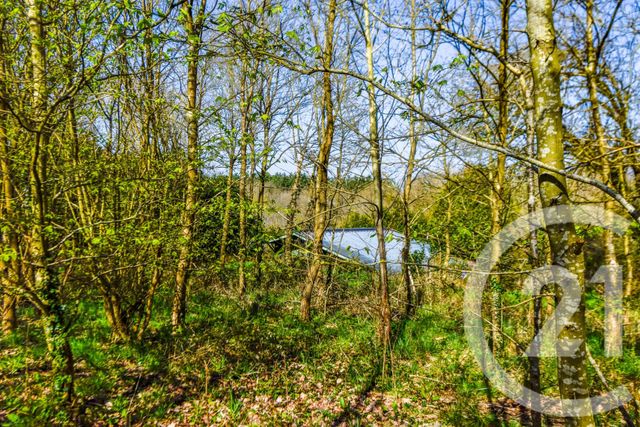 Maison &agrave; vendre - 4 pi&egrave;ces - 88,37 m2 - Ruille Froid Fonds - 53 - PAYS-DE-LOIRE