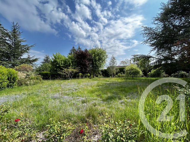 terrain - ENTRAMMES - 53