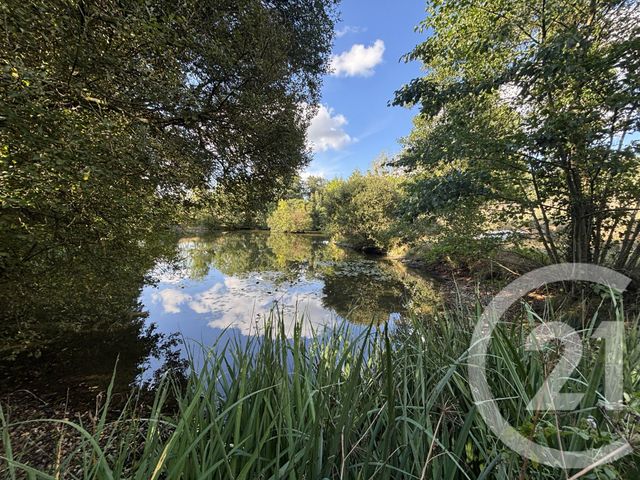 Terrain à vendre - 15891 m2 - Chateau Gontier - 53 - PAYS-DE-LOIRE