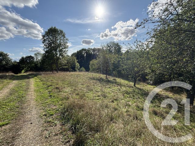 Terrain à vendre - 15891 m2 - Chateau Gontier - 53 - PAYS-DE-LOIRE