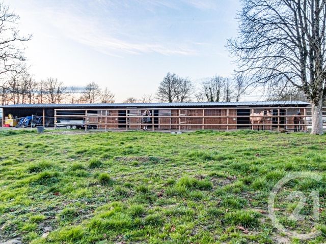 Maison &agrave; vendre - 7 pi&egrave;ces - 394 m2 - L Huisserie - 53 - PAYS-DE-LOIRE