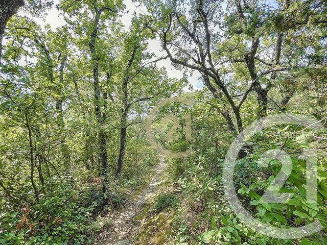 Terrain &agrave; vendre - 21290 m2 - Vers Pont Du Gard - 30 - LANGUEDOC-ROUSSILLON