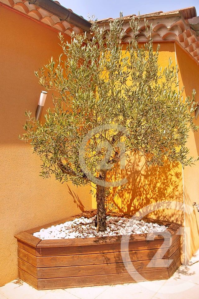 Maison &agrave; vendre - 7 pi&egrave;ces - 285,44 m2 - Beaucaire - 30 - LANGUEDOC-ROUSSILLON