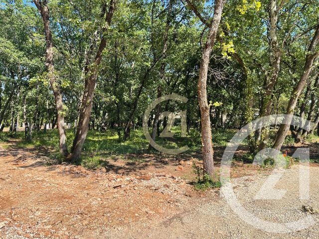 Terrain &agrave; vendre - 937 m2 - St Siffret - 30 - LANGUEDOC-ROUSSILLON
