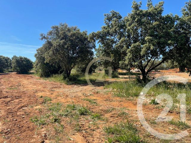 Terrain &agrave; vendre - 450 m2 - St Siffret - 30 - LANGUEDOC-ROUSSILLON
