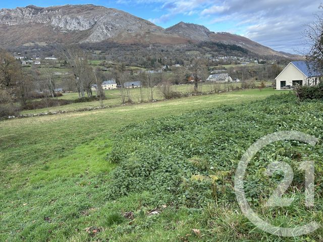 Terrain &agrave; vendre - 7115 m2 - Bun - 65 - MIDI-PYRENEES