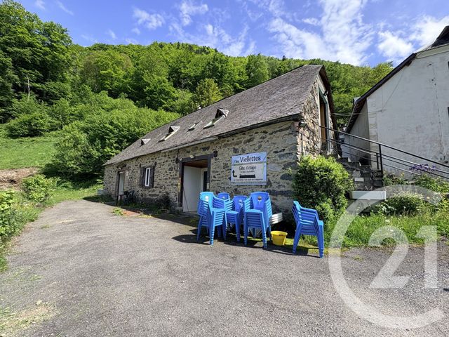 Maison &agrave; vendre - 15 pi&egrave;ces - 414 m2 - Estaing - 65 - MIDI-PYRENEES