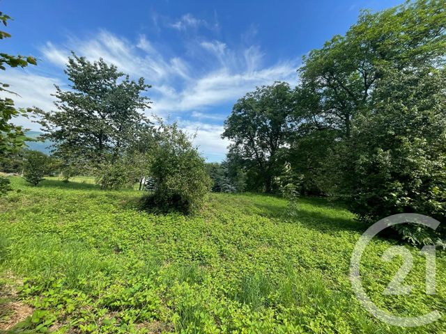 Terrain &agrave; vendre - 1000 m2 - Argeles Gazost - 65 - MIDI-PYRENEES