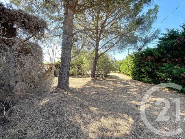Terrain &agrave; vendre - 710 m2 - Marseillan - 34 - LANGUEDOC-ROUSSILLON