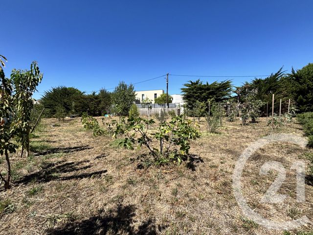 Terrain &agrave; vendre - 710 m2 - Marseillan - 34 - LANGUEDOC-ROUSSILLON