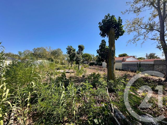 Terrain &agrave; vendre - 802 m2 - Le Grau D Agde - 34 - LANGUEDOC-ROUSSILLON