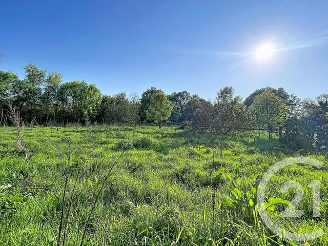 Maison &agrave; vendre - 6 pi&egrave;ces - 144,22 m2 - Florensac - 34 - LANGUEDOC-ROUSSILLON