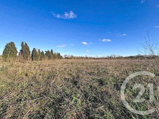 Terrain &agrave; vendre - 14143 m2 - Vias - 34 - LANGUEDOC-ROUSSILLON