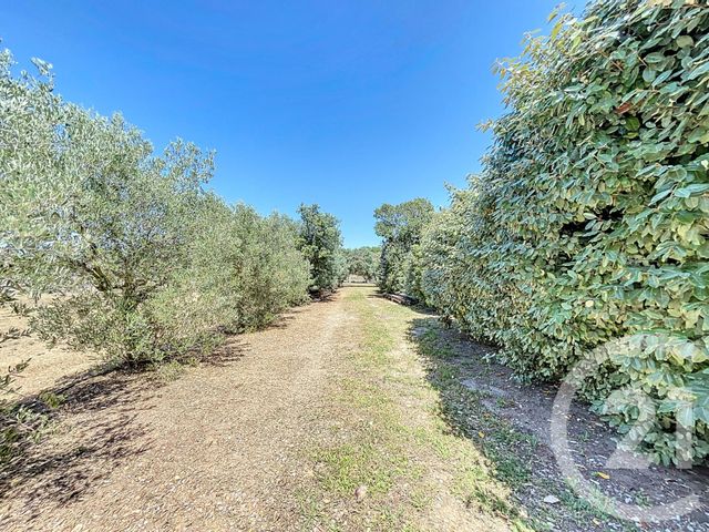 Maison &agrave; vendre - 7 pi&egrave;ces - 223,91 m2 - 34 - LANGUEDOC-ROUSSILLON