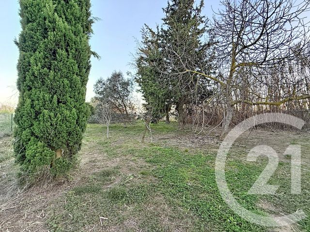 Terrain &agrave; vendre - 1204 m2 - Pinet - 34 - LANGUEDOC-ROUSSILLON