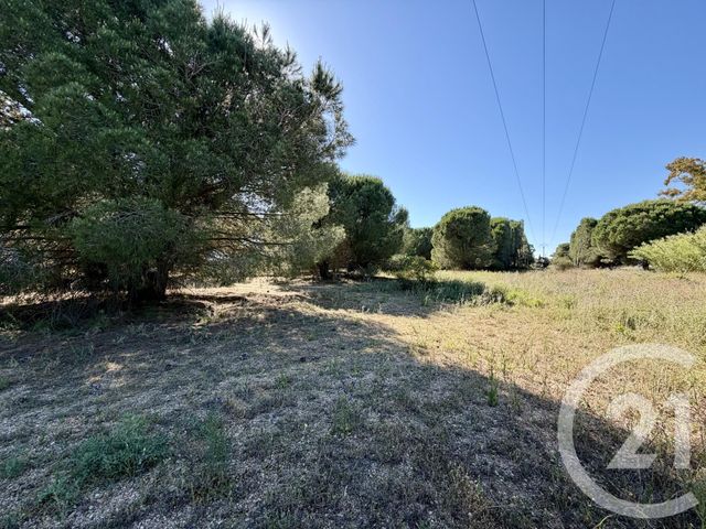 Terrain &agrave; vendre - 5741 m2 - Marseillan - 34 - LANGUEDOC-ROUSSILLON