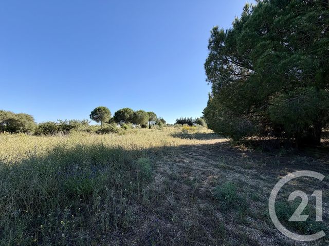 Terrain &agrave; vendre - 5741 m2 - Marseillan - 34 - LANGUEDOC-ROUSSILLON