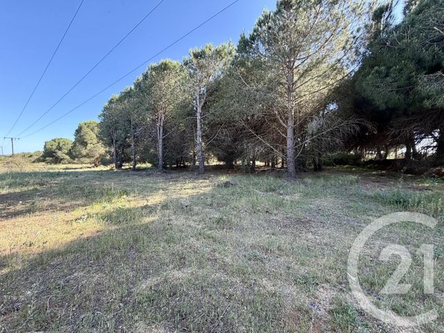 Terrain &agrave; vendre - 5741 m2 - Marseillan - 34 - LANGUEDOC-ROUSSILLON
