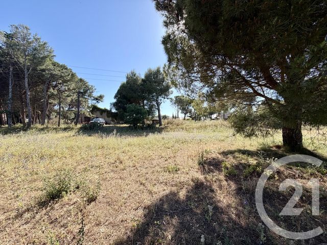 Terrain &agrave; vendre - 5741 m2 - Marseillan - 34 - LANGUEDOC-ROUSSILLON
