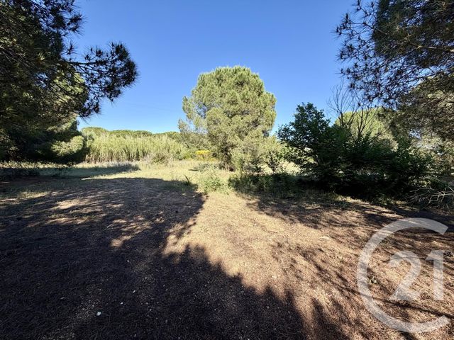 Terrain &agrave; vendre - 5741 m2 - Marseillan - 34 - LANGUEDOC-ROUSSILLON