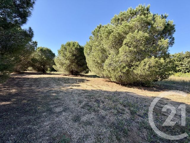 Terrain &agrave; vendre - 5741 m2 - Marseillan - 34 - LANGUEDOC-ROUSSILLON