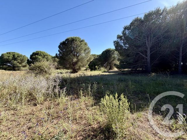 Terrain &agrave; vendre - 5741 m2 - Marseillan - 34 - LANGUEDOC-ROUSSILLON
