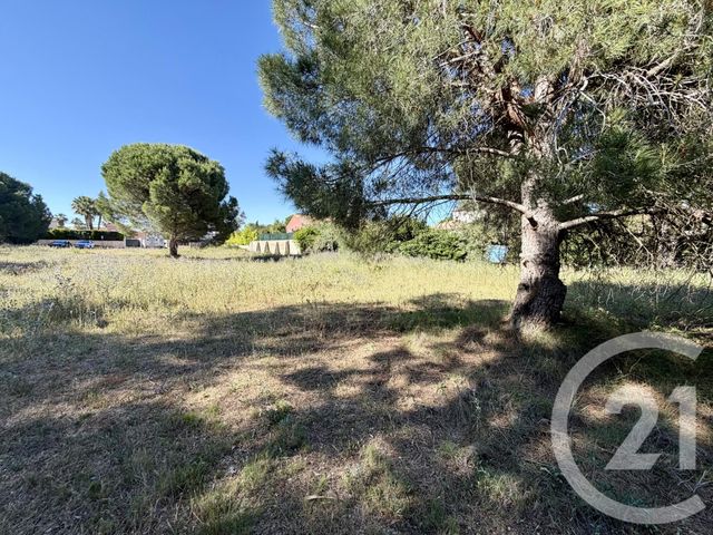 Terrain &agrave; vendre - 5741 m2 - Marseillan - 34 - LANGUEDOC-ROUSSILLON