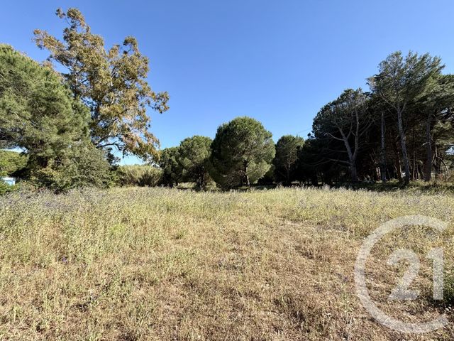 Terrain &agrave; vendre - 487 m2 - Marseillan - 34 - LANGUEDOC-ROUSSILLON