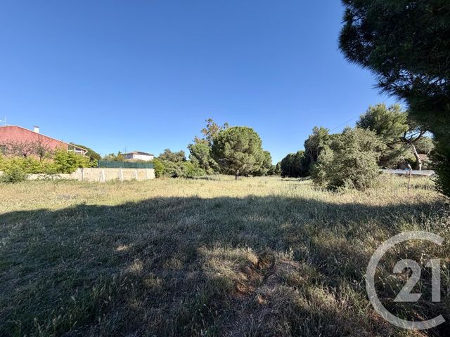 Terrain &agrave; vendre - 487 m2 - Marseillan - 34 - LANGUEDOC-ROUSSILLON