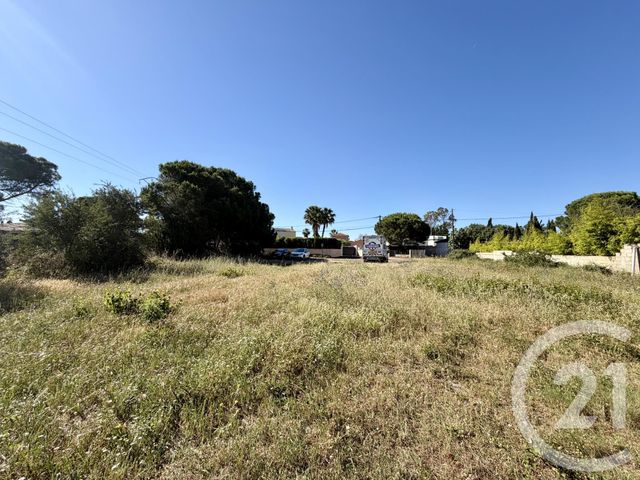 Terrain &agrave; vendre - 487 m2 - Marseillan - 34 - LANGUEDOC-ROUSSILLON