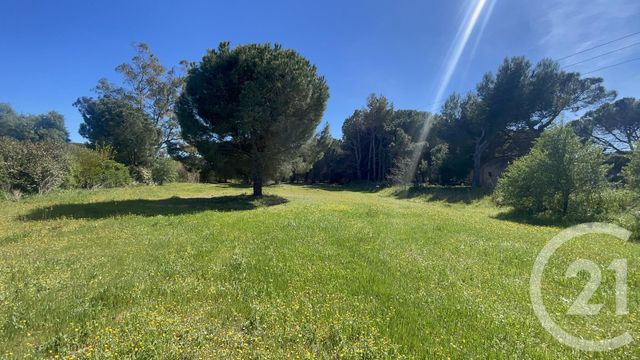 terrain - MARSEILLAN - 34