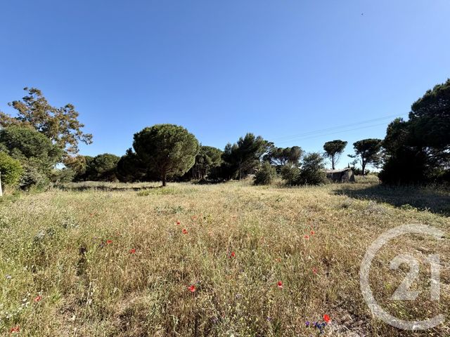 terrain - MARSEILLAN - 34