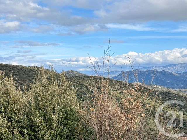 Maison &agrave; vendre - 7 pi&egrave;ces - 145,72 m2 - Santa Reparata Di Balagna - 202 - CORSE