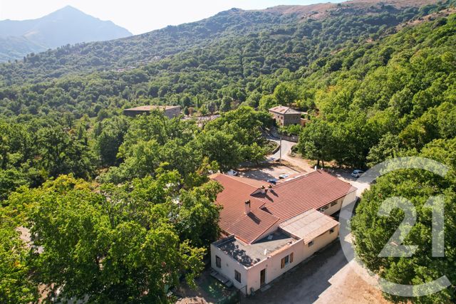 Maison &agrave; vendre - 10 pi&egrave;ces - 416 m2 - Pioggiola - 202 - CORSE