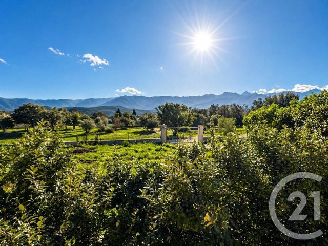 Maison &agrave; vendre - 5 pi&egrave;ces - 135 m2 - Speloncato - 202 - CORSE