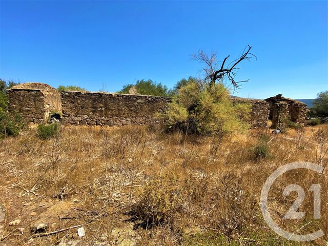 Terrain &agrave; vendre - 5245 m2 - Belgodere - 202 - CORSE