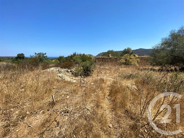 Terrain &agrave; vendre - 5245 m2 - Belgodere - 202 - CORSE