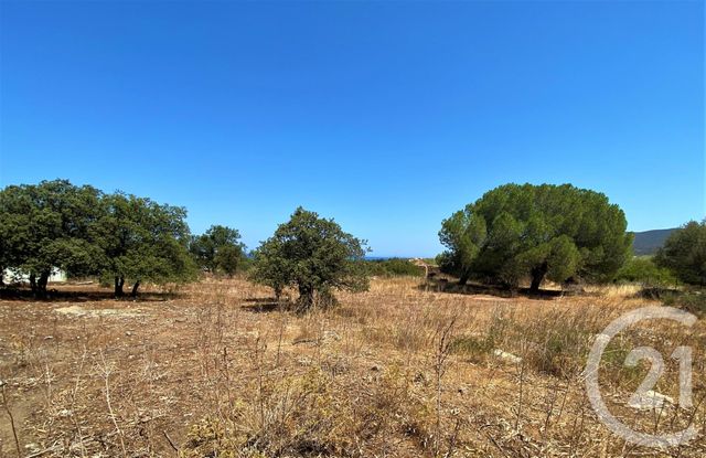 Terrain &agrave; vendre - 5245 m2 - Belgodere - 202 - CORSE