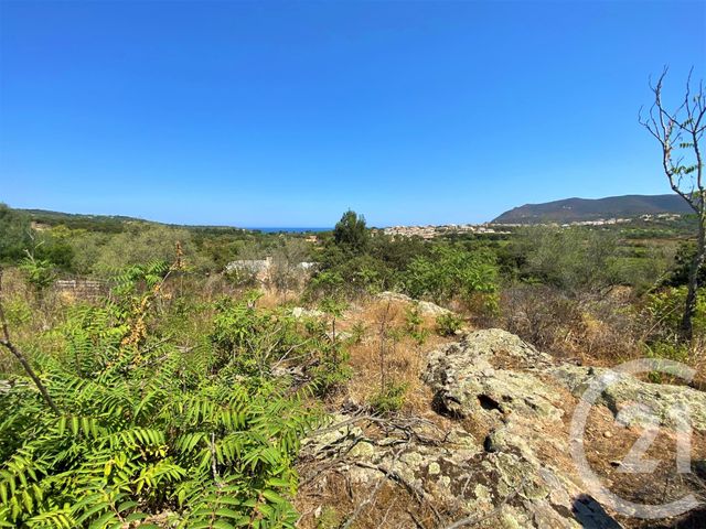 Terrain &agrave; vendre - 5245 m2 - Belgodere - 202 - CORSE
