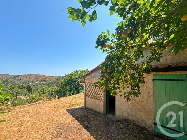 Maison à vendre - 4 pièces - 93 m2 - Cateri - 202 - CORSE