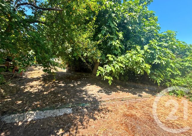 Maison à vendre - 4 pièces - 93 m2 - Cateri - 202 - CORSE