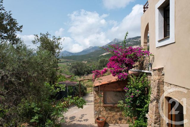 Maison à vendre - 12 pièces - 253,98 m2 - Calvi - 202 - CORSE